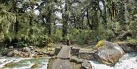 Trekking through the lush forests of Bhutan - World Expeditions
